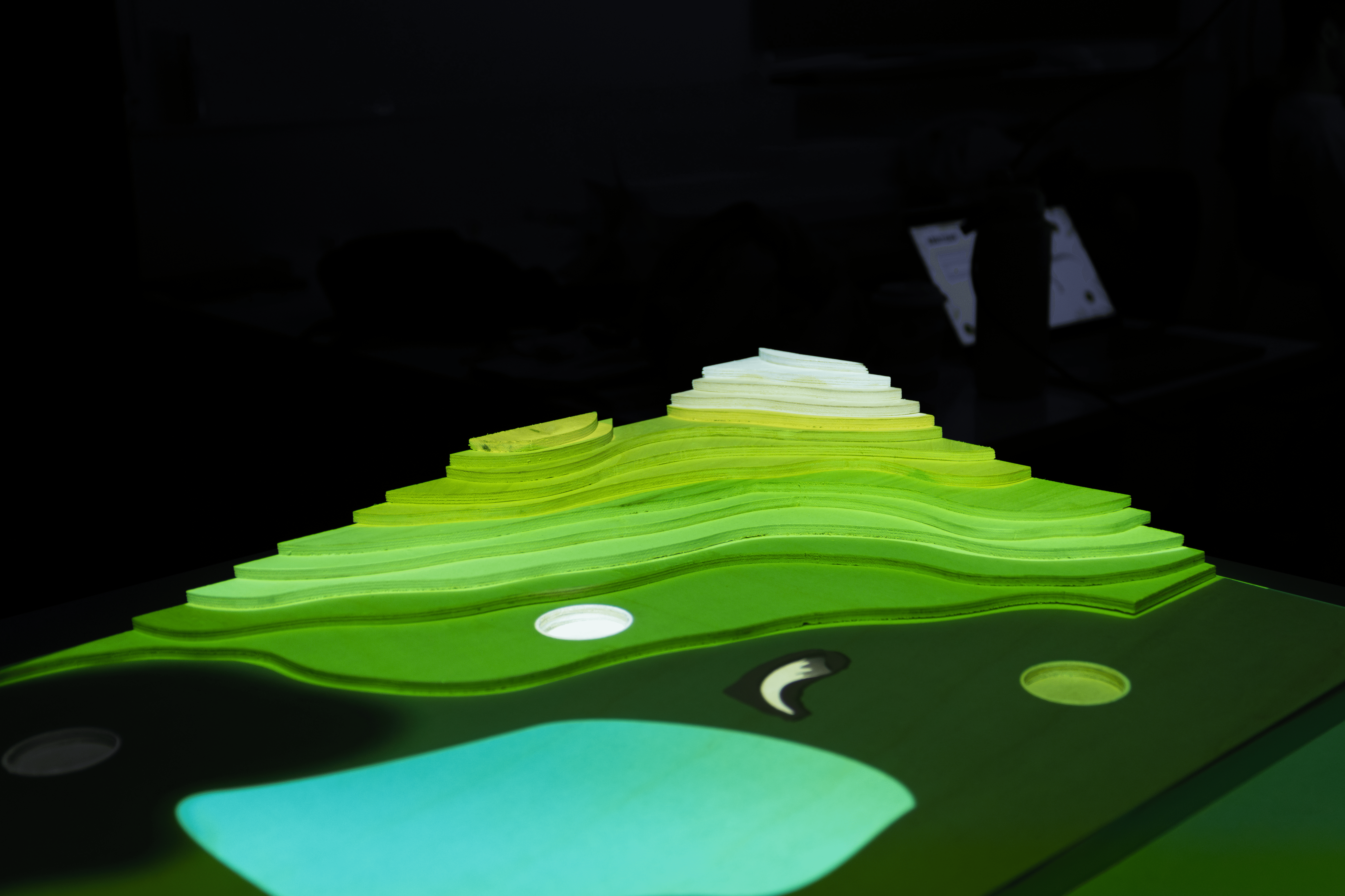 Projection Image 2