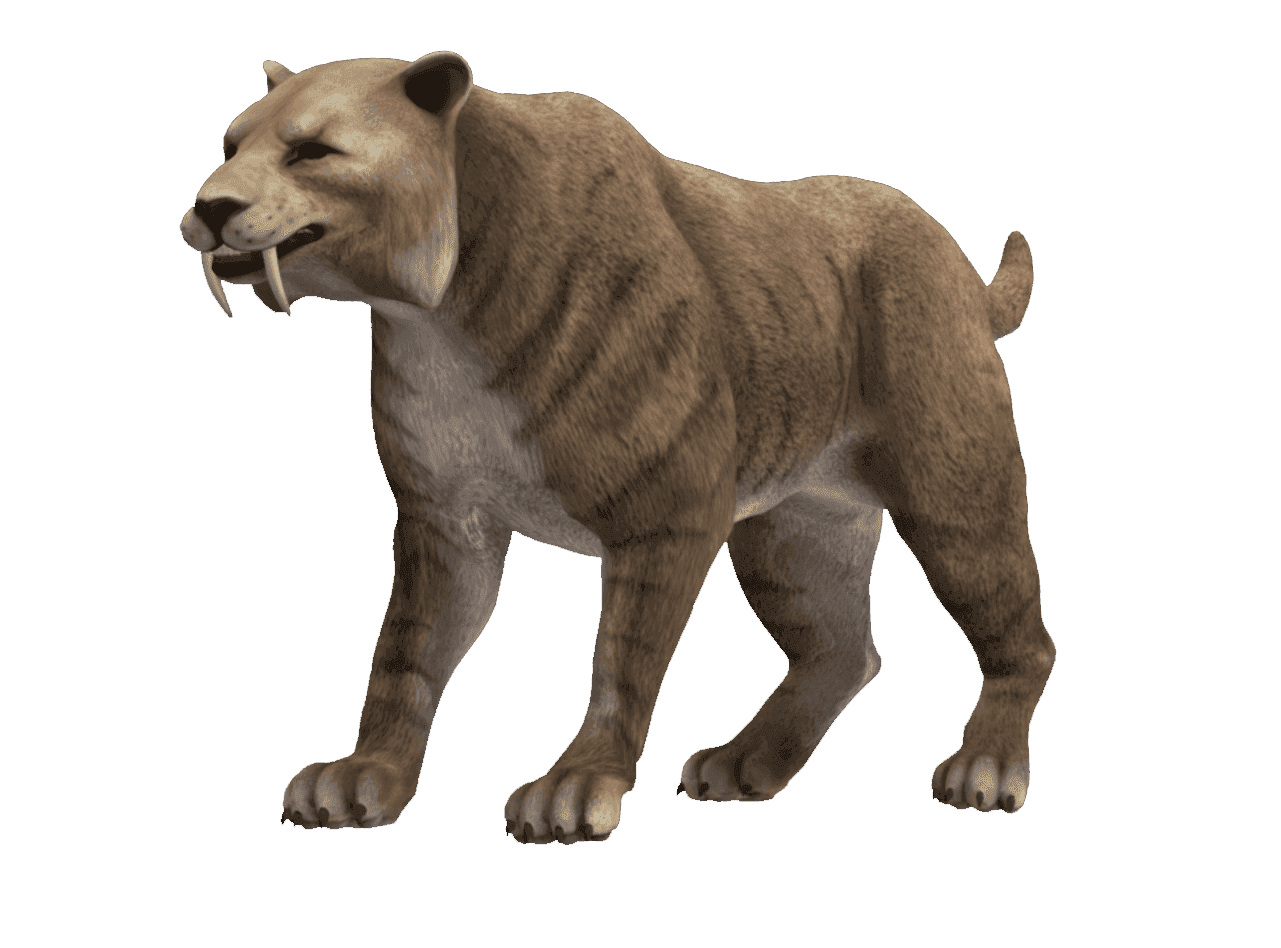 3D Model