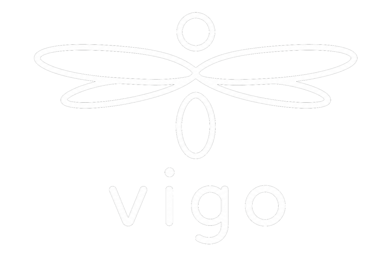 vigo logo
